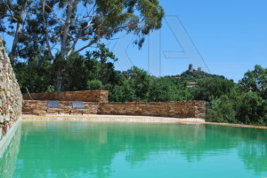 agence immobilière Grimaud