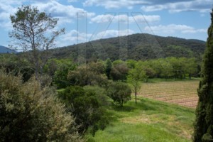 agence immobilière Grimaud