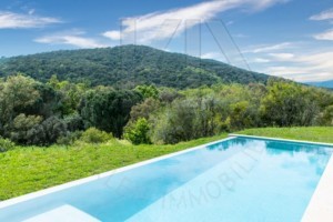 agence immobilière Grimaud