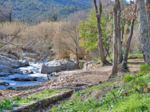 agence immobilière Grimaud
