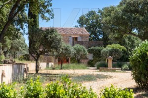 agence immobilière Grimaud