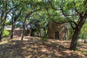 agence immobilière Grimaud