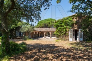 agence immobilière Grimaud