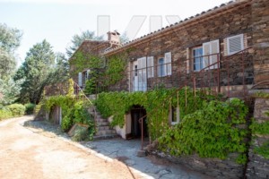 agence immobilière Grimaud