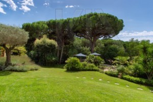 agence immobilière Grimaud