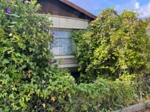 agence immobilière Grimaud