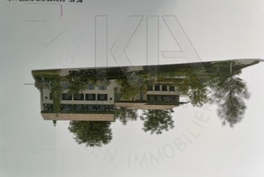 agence immobilière Grimaud