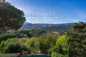 agence immobilière Grimaud