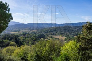 agence immobilière Grimaud