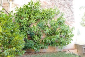 agence immobilière Grimaud