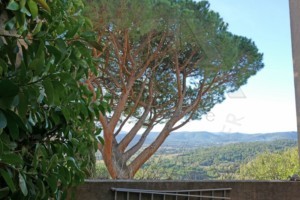 agence immobilière Grimaud