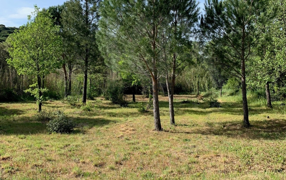 Photo-1