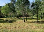 Photo grimaud 1