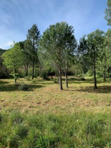 Photo-1