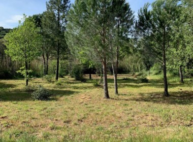 Photo grimaud 1