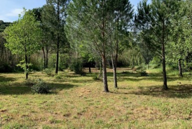 Photo-1