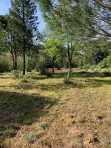 Photo-2