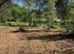 photo grimaud 3