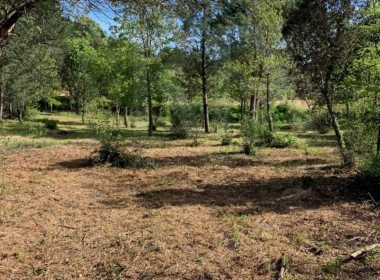 photo grimaud 3